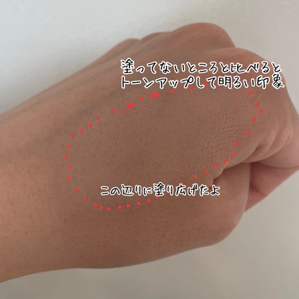 スポットメンテパウダー/muice/プレストパウダーを使ったクチコミ(3枚目)