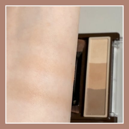 アイブロウ&シェードパウダー/CEZANNE/パウダーアイブロウを使ったクチコミ(2枚目)