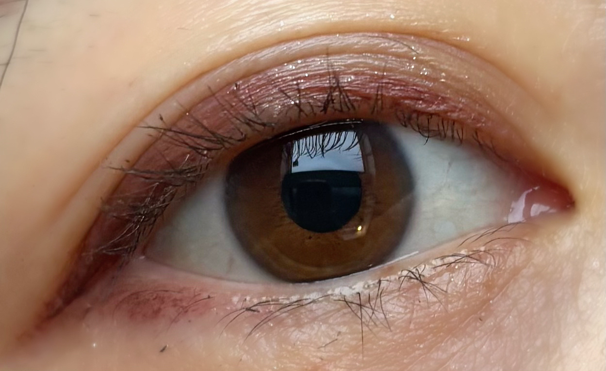 dasique special book /宝島社/書籍を使ったクチコミ（2枚目）