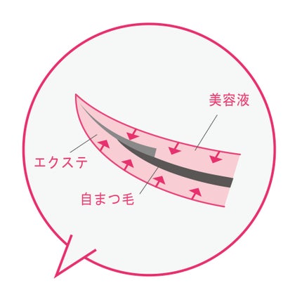 アヴァンセ マツエク プロテクトセラム(マツエク用美容液)/アヴァンセ/まつげ美容液を使ったクチコミ(2枚目)