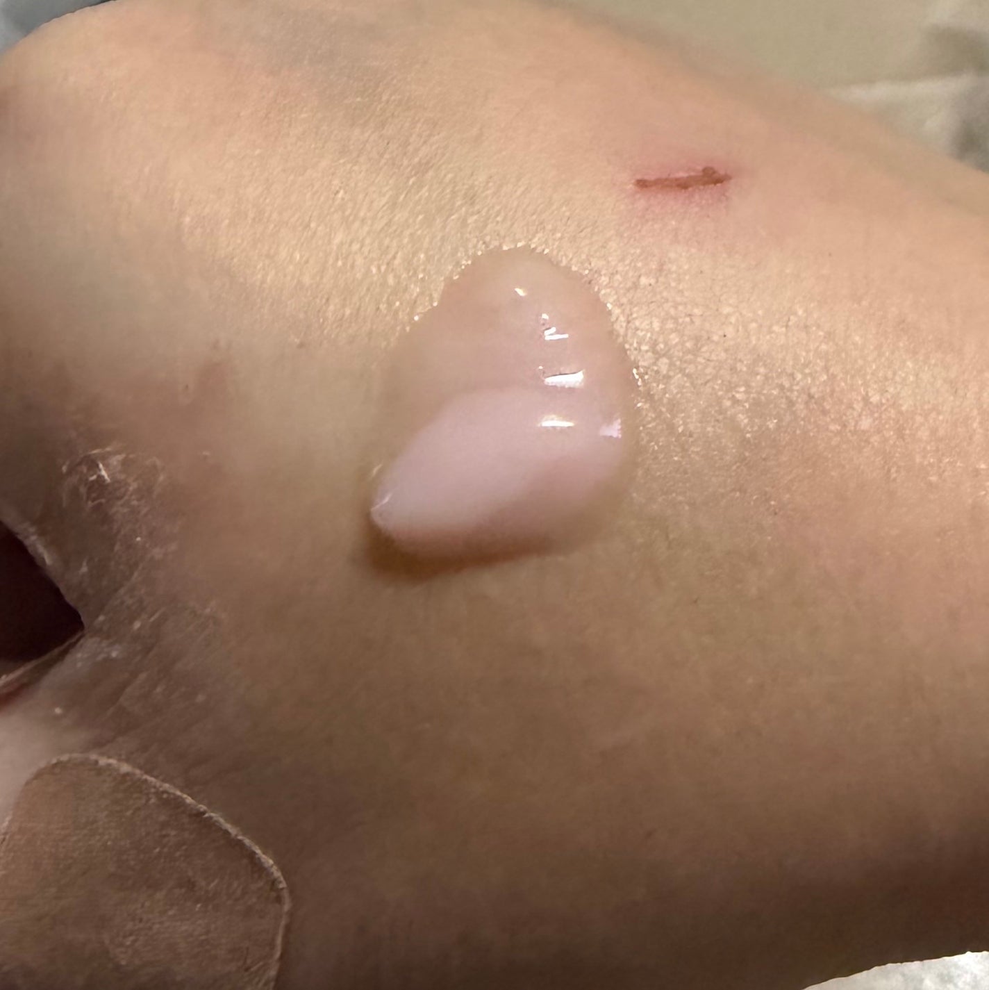 タッチインソール ノーポアブレムプライマー/touch in SOL /化粧下地を使ったクチコミ(3枚目)