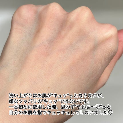 スクラビング マッド ウォッシュ/KANEBO/洗顔フォームを使ったクチコミ(6枚目)