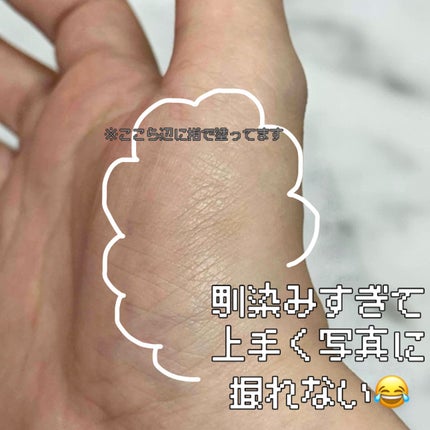 シームレストーン ブラッシュ/excel/パウダーチークを使ったクチコミ(3枚目)