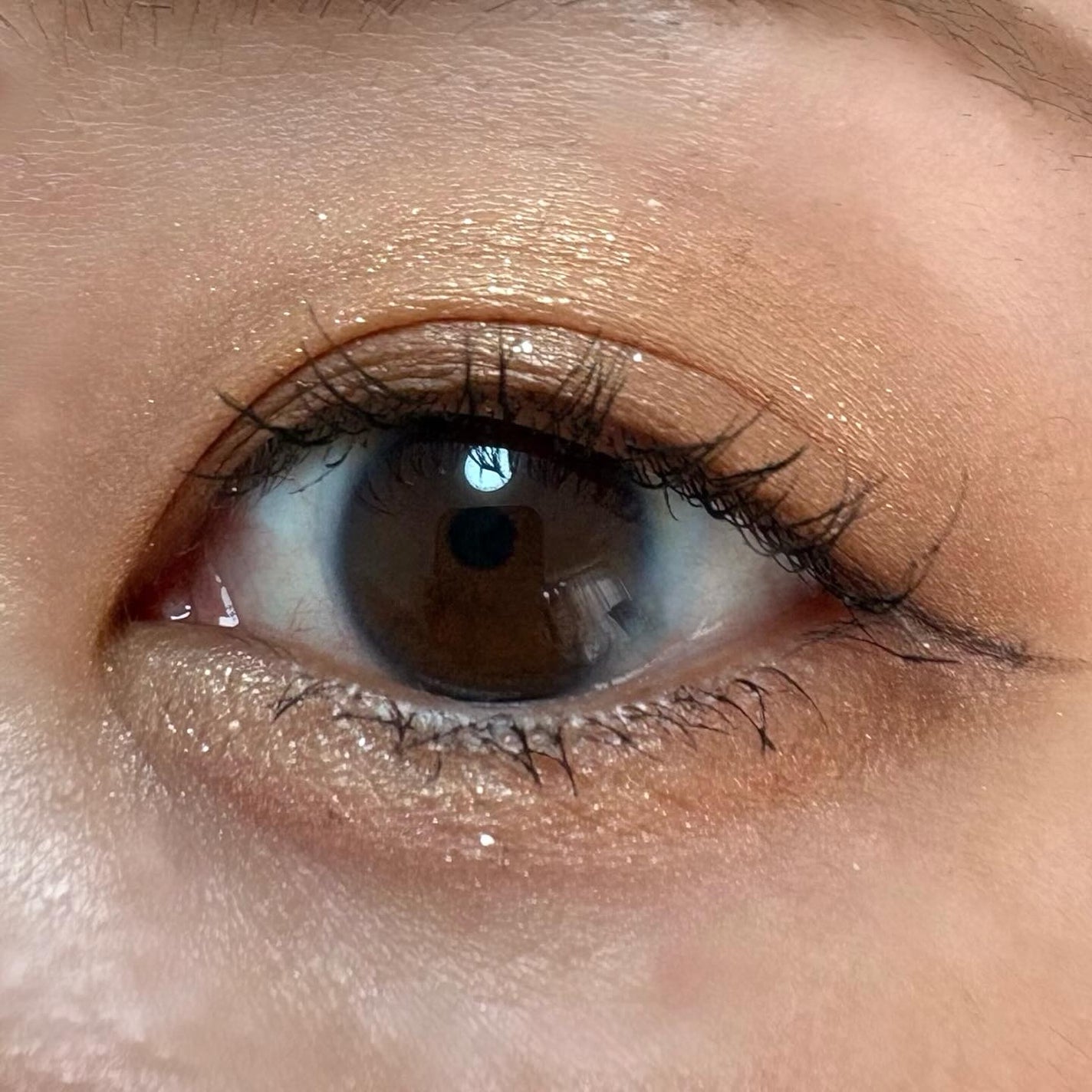 スキンモデリングアイズ/LUNASOL/アイシャドウパレットを使ったクチコミ(2枚目)