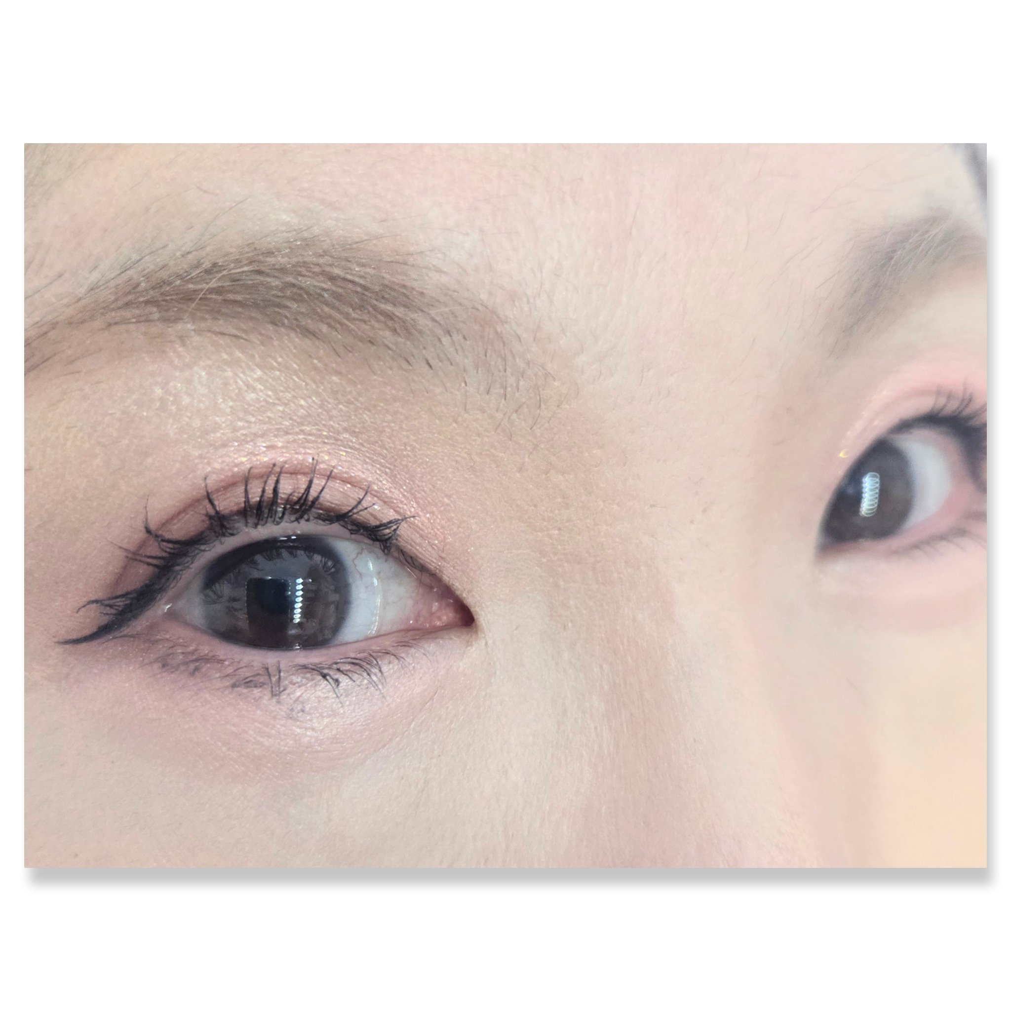 セレクト アイカラー Ｎ/ESPRIQUE/単色アイシャドウを使ったクチコミ（2枚目）