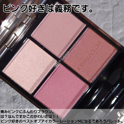 ルナソル アイカラーレーションN/LUNASOL/アイシャドウパレットを使ったクチコミ(2枚目)