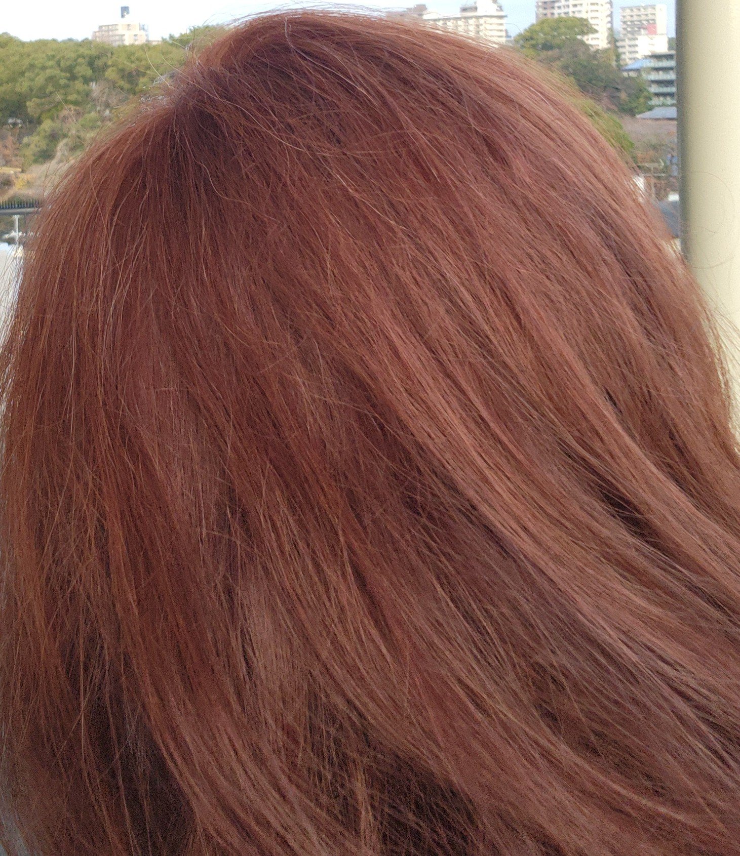 泡カラー 白髪用 1P モーブピンク/ブローネ/ヘアカラーを使ったクチコミ（3枚目）