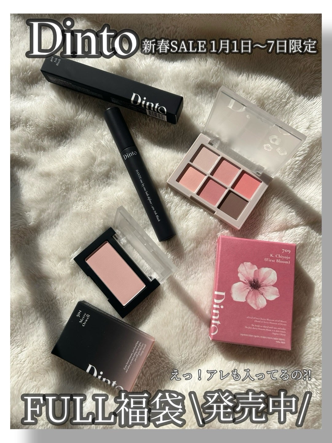 ブラーフィニシュシャドウパレット/Dinto/アイシャドウパレットを使ったクチコミ(1枚目)