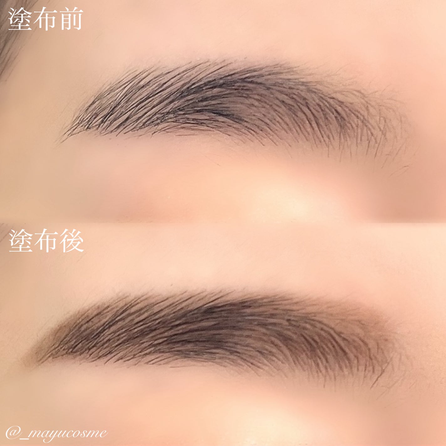 アイブロウ&シェードパウダー/CEZANNE/パウダーアイブロウを使ったクチコミ(3枚目)
