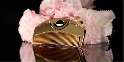 F ツキ シルバー / F TSUKI SILVER/LOVECHROME/ヘアコームを使ったクチコミ(1枚目)