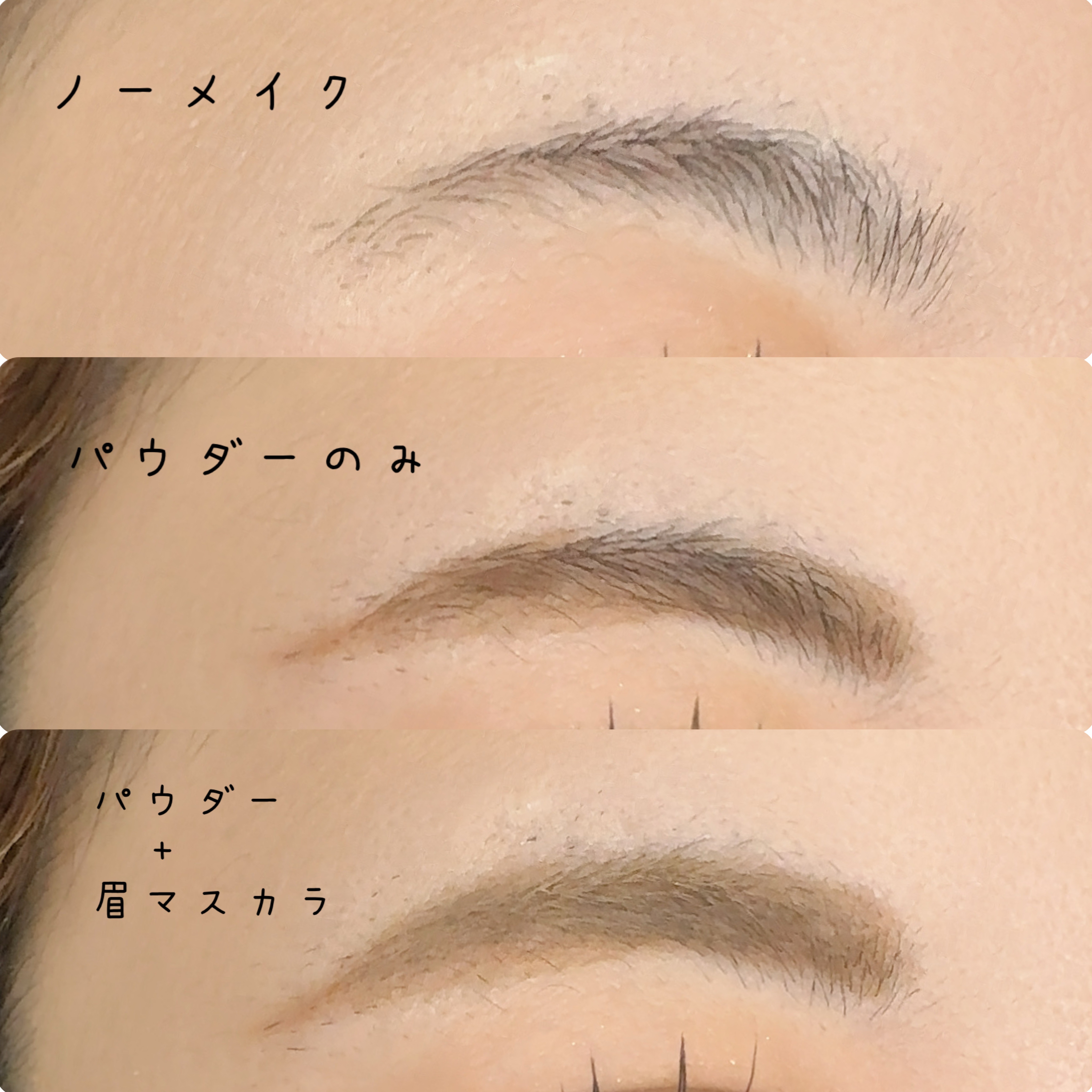 ノーズ＆アイブロウパウダー/CEZANNE/パウダーアイブロウを使ったクチコミ（2枚目）