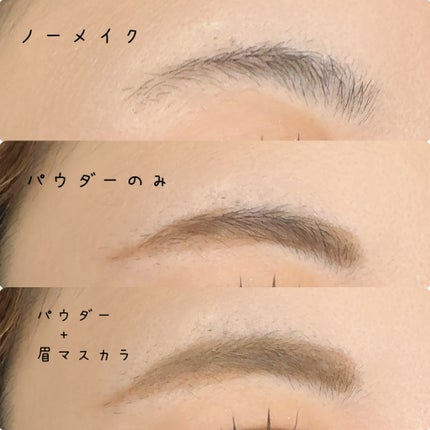 アイブロウ&シェードパウダー/CEZANNE/パウダーアイブロウを使ったクチコミ(2枚目)