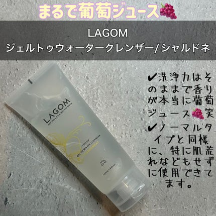 ジェルトゥウォーター クレンザー(CH)/LAGOM /その他洗顔料を使ったクチコミ(1枚目)