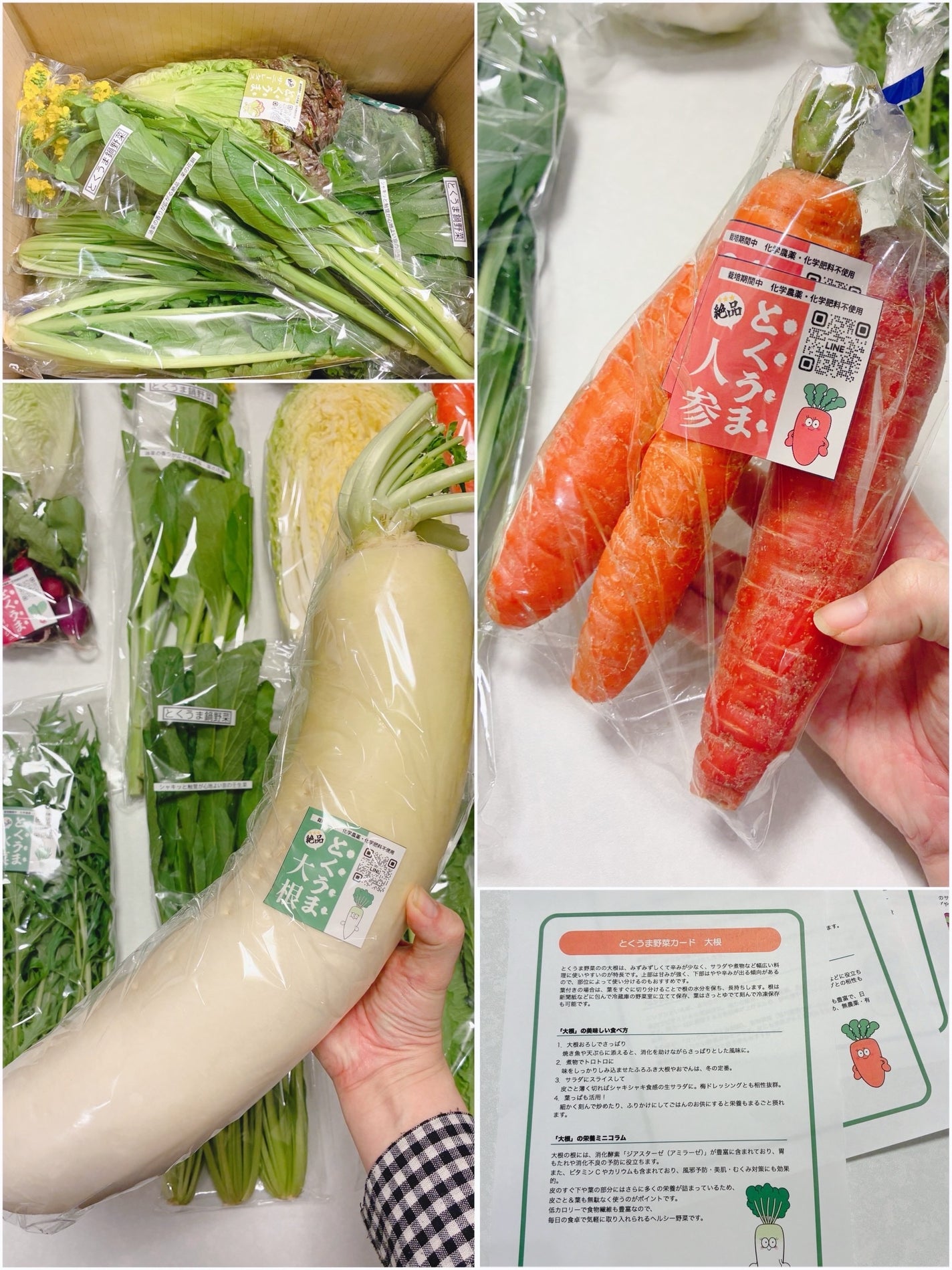 ð¥ð¢ð¬ð.ðððð çŸå®¹ã©ã€ã¿ãŒ on LIPS ãããã¡ãŒãããã¡ãŒã æ¬ã®æäžçŽéãšãããŸå¬éè10ã12å ¥..ãïŒ3æç®ïŒ