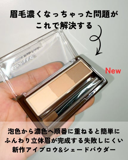 アイブロウ&シェードパウダー/CEZANNE/パウダーアイブロウを使ったクチコミ(3枚目)
