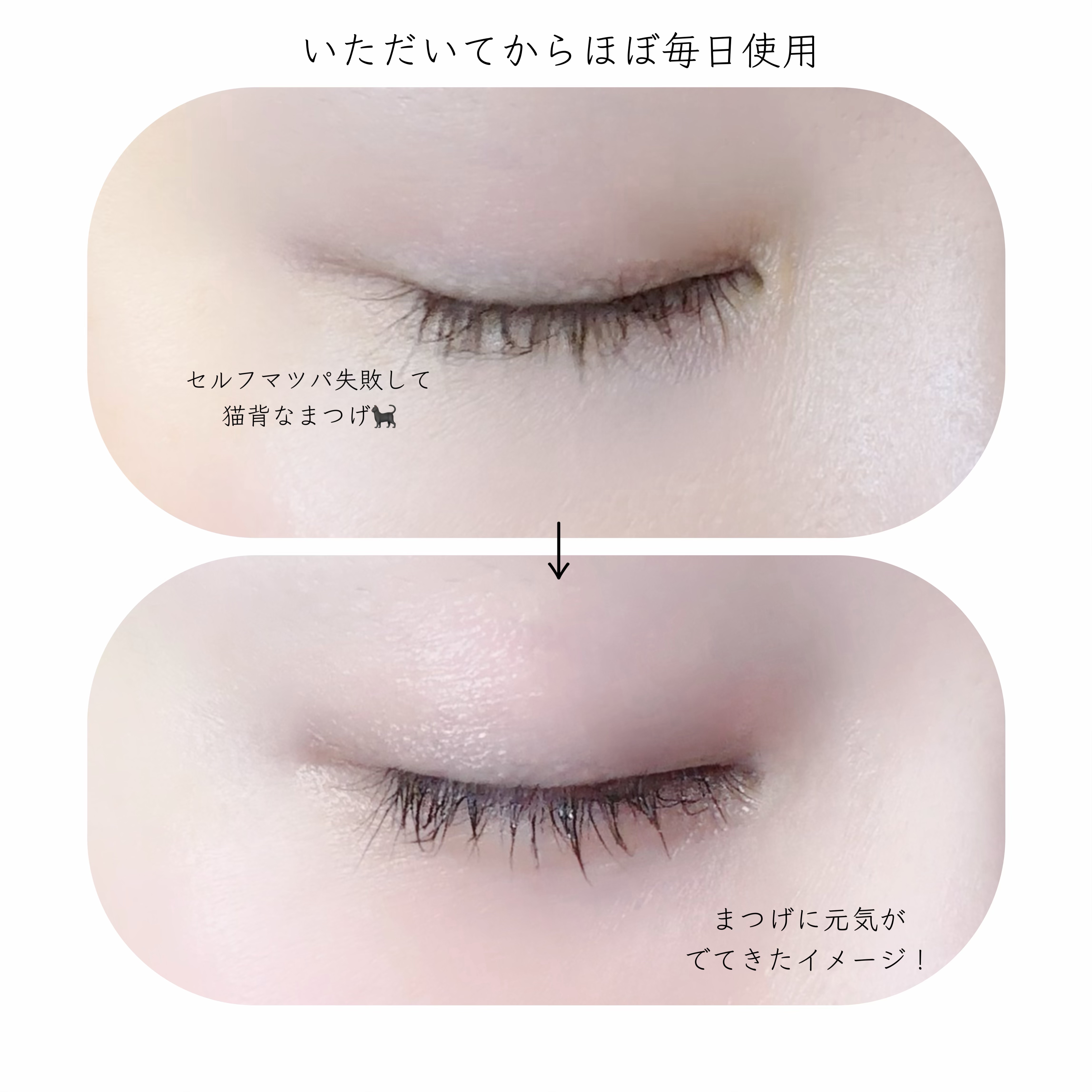 ラッシュジェリードロップ EX プレミアム/MAJOLICA MAJORCA/まつげ美容液を使ったクチコミ（3枚目）