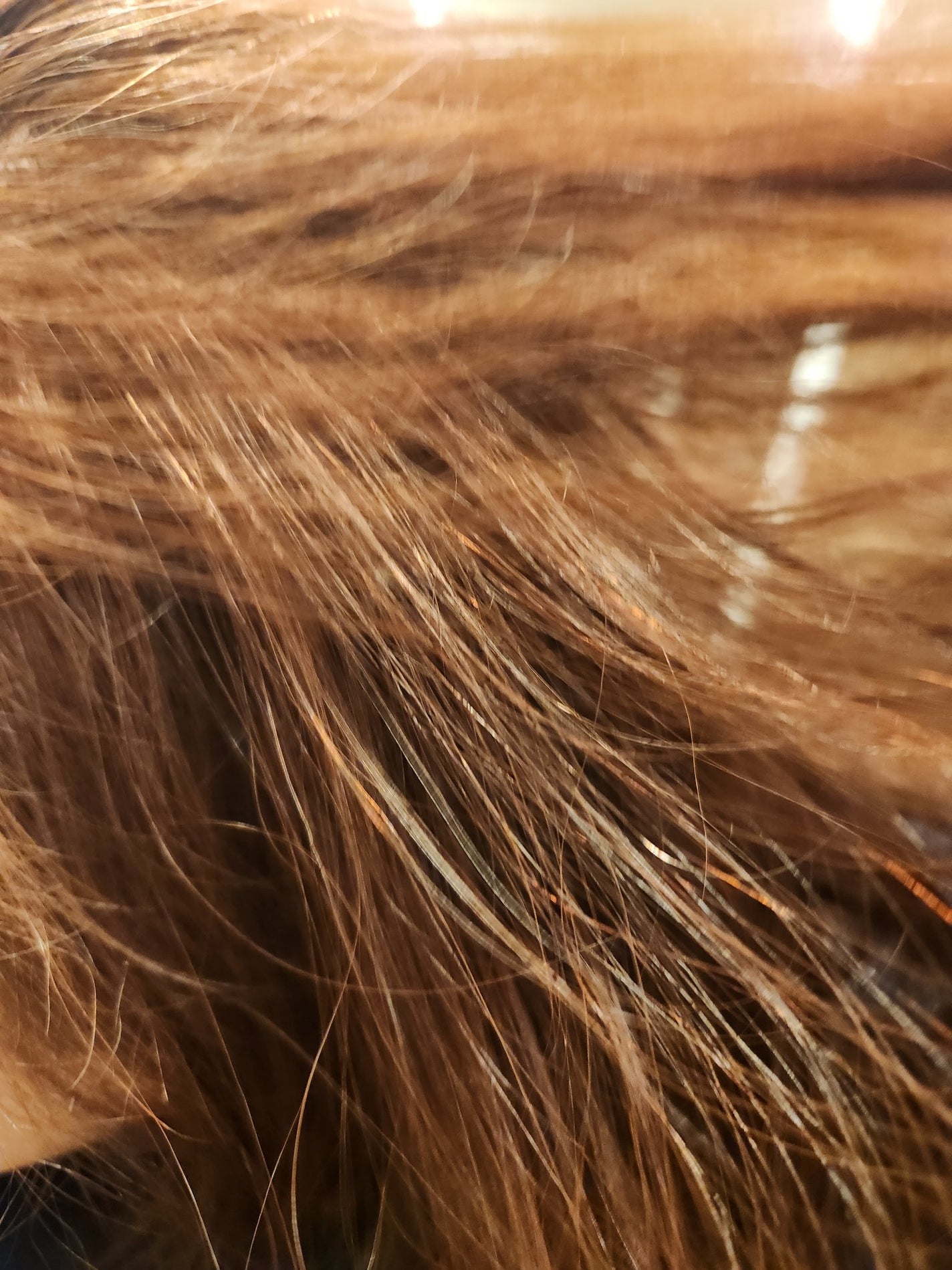 泡カラー 白髪用/ブローネ/ヘアカラーを使ったクチコミ(9枚目)