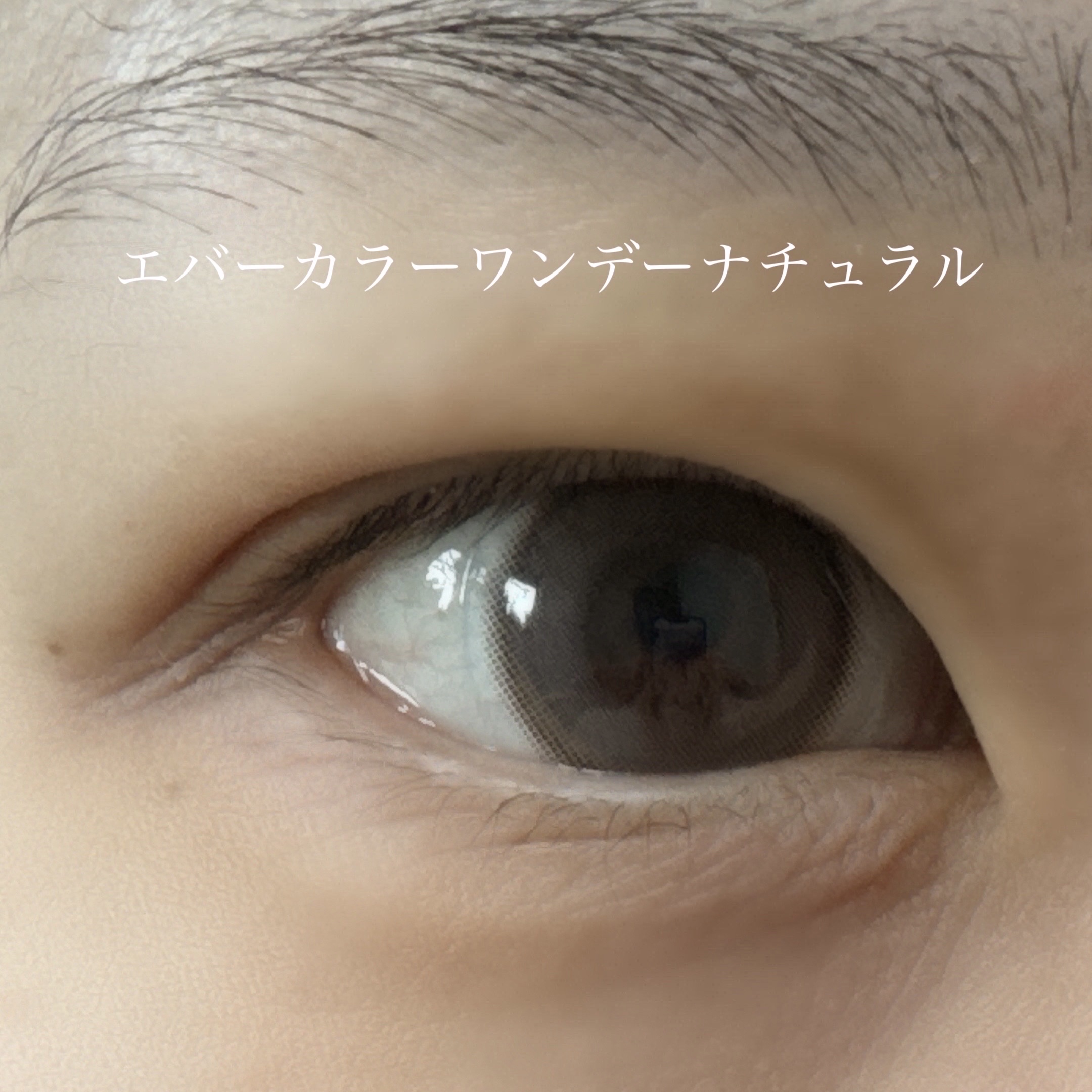 エバーカラーワンデー ナチュラル/エバーカラー/ワンデー（１DAY）カラコンを使ったクチコミ（3枚目）