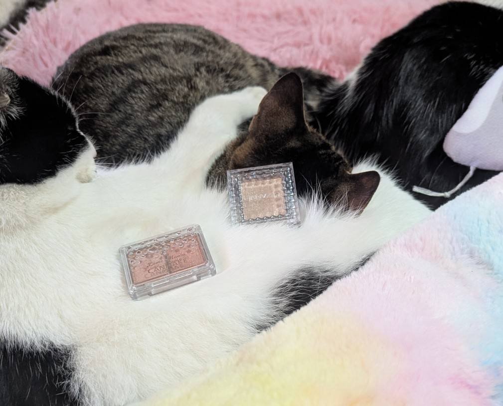 ネタ切れ気味なのでお気に入りのキラキラシャドウと猫さま達などをw

2枚目は息子を抱きしめて寝るお父ちゃんですw
男の子同士でもなかよくなるもんなんですね。
