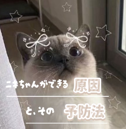 ã䜿ã£ãã¯ãã³ãïŒ1æç®ïŒ