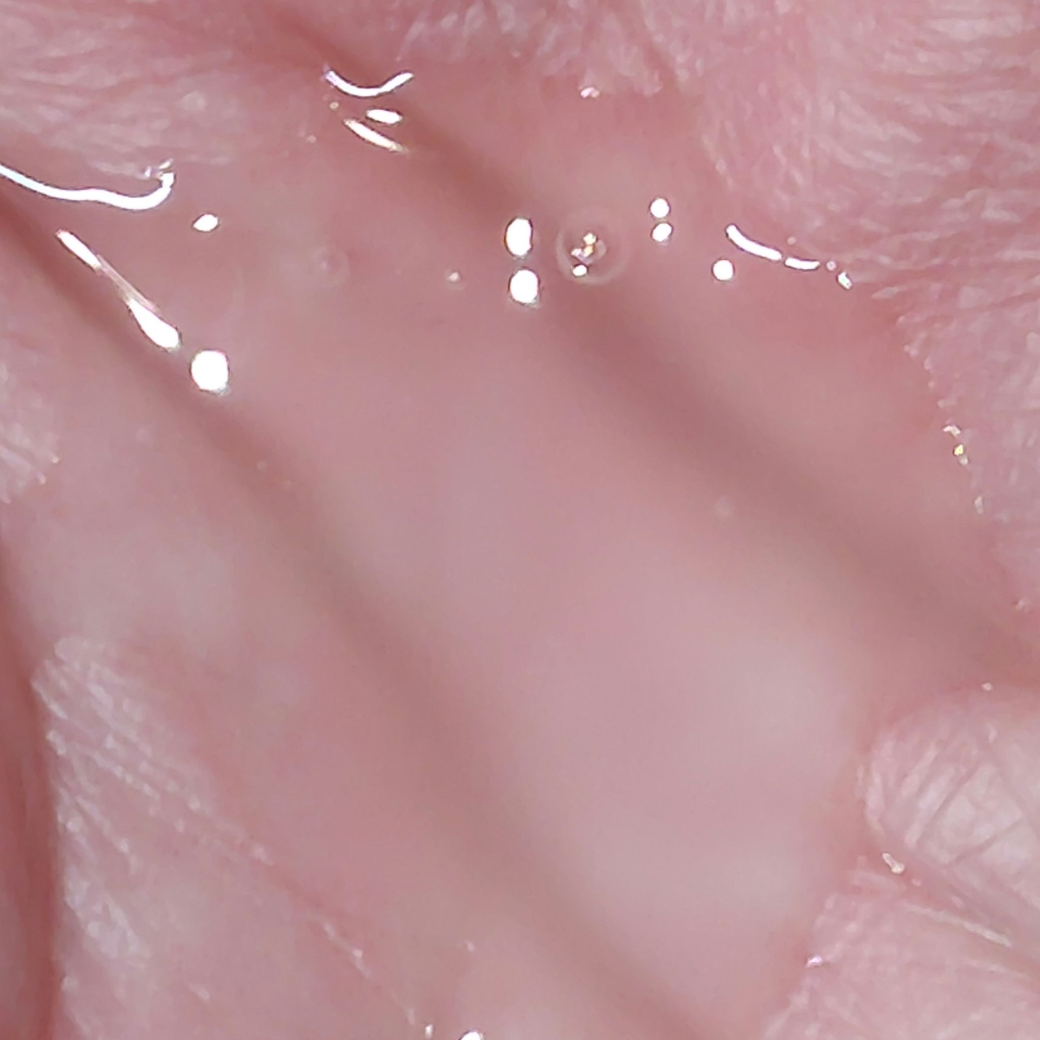 イプサ ＭＥ ｎ 2/IPSA/化粧水を使ったクチコミ（3枚目）