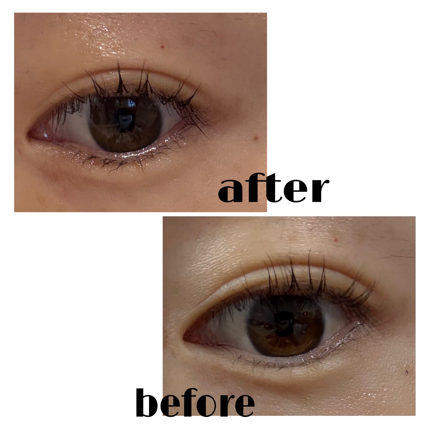 ラッシュジェリードロップ EX プレミアム/MAJOLICA MAJORCA/まつげ美容液を使ったクチコミ(3枚目)