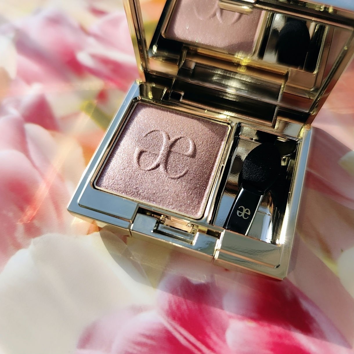 エレガンス プレジール アイズ/Elégance/単色アイシャドウを使ったクチコミ（1枚目）