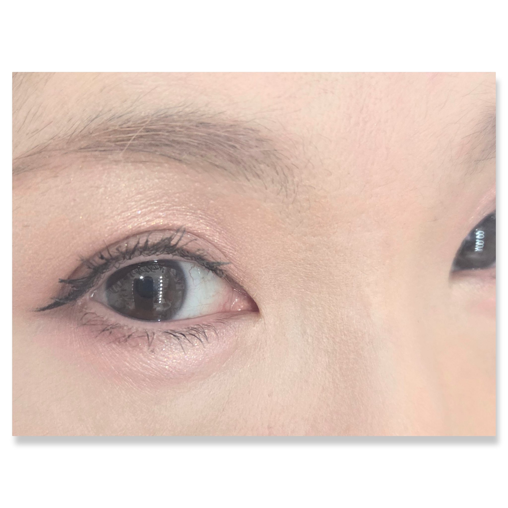 オールラウンドアイパレット/hince/マルチパレットを使ったクチコミ（2枚目）