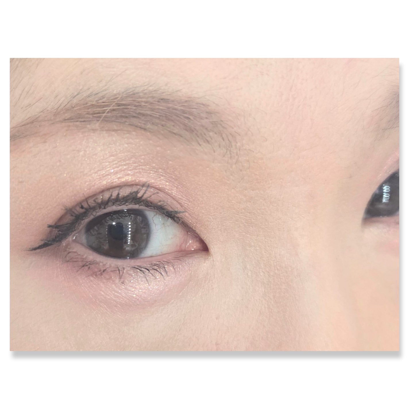 オールラウンドアイパレット/hince/マルチパレットを使ったクチコミ(2枚目)