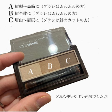 アイブロウ&シェードパウダー/CEZANNE/パウダーアイブロウを使ったクチコミ(2枚目)