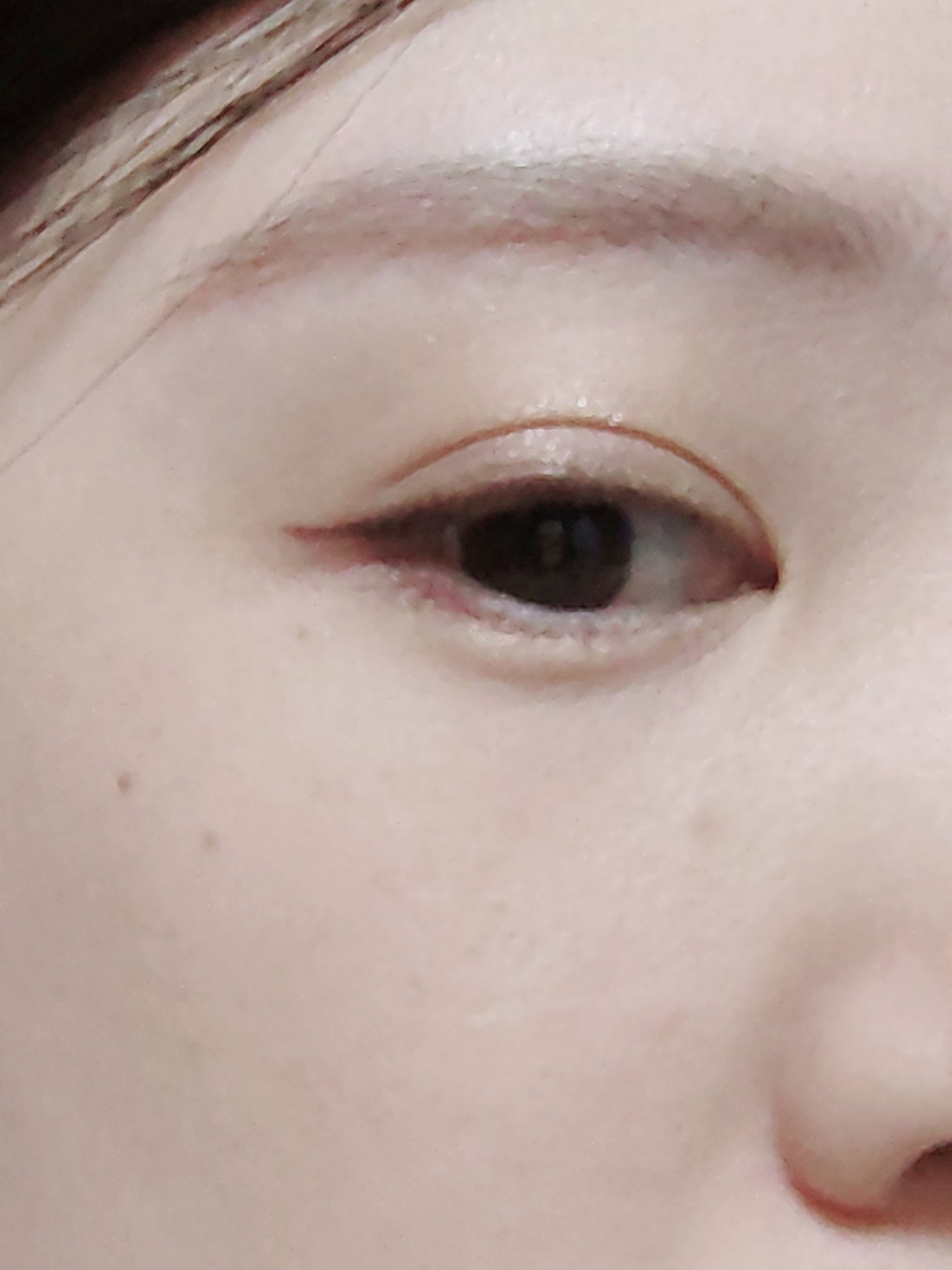 アディクション ザ アイシャドウ パレット +/ADDICTION/アイシャドウパレットを使ったクチコミ（1枚目）