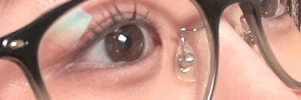 ブラーフィニシュシャドウパレット/Dinto/アイシャドウパレットを使ったクチコミ(2枚目)