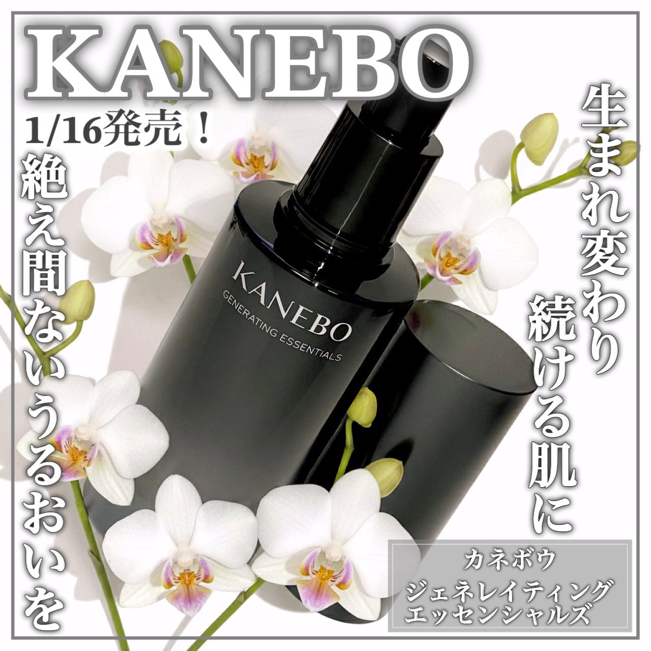 カネボウ ジェネレイティング エッセンシャルズ/KANEBO/化粧水を使ったクチコミ(1枚目)