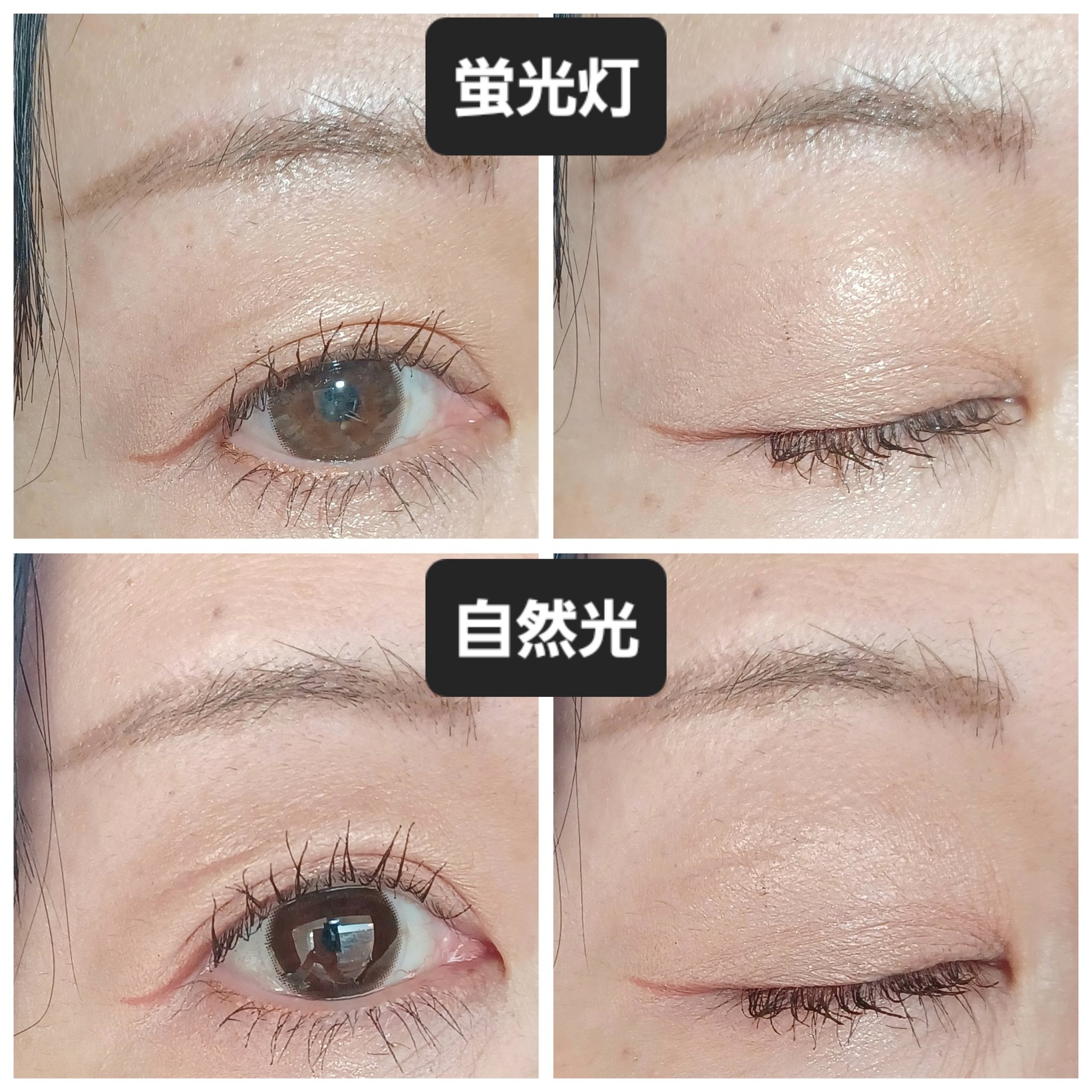 ソフトシアーマルチパレット 01 コーラルヘルツ/wakemake/アイシャドウパレットを使ったクチコミ（2枚目）