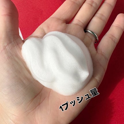 ビオレ ザ ボディ ととのい肌 フルーティ&ムスクの香り 本体 480ml/ビオレ/ボディソープの画像