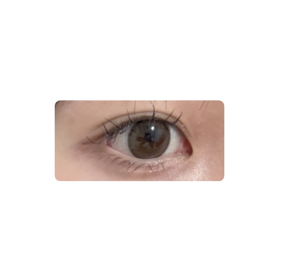 secretcandymagic(シークレットキャンディーマジック）1month ラテベージュ/secret candymagic/１ヶ月（１MONTH）カラコンを使ったクチコミ（1枚目）