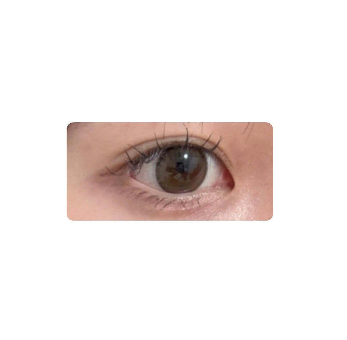 secretcandymagic(シークレットキャンディーマジック)1month/secret candymagic/1ヶ月(1MONTH)カラコンを使ったクチコミ(1枚目)