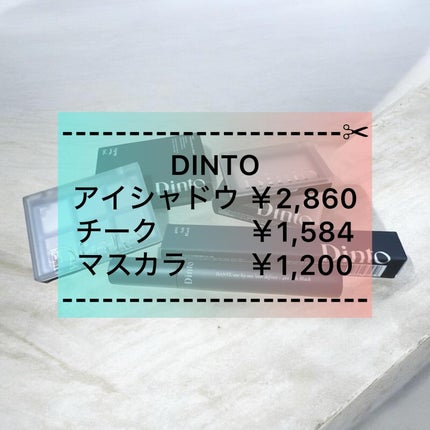 ブラーフィニシュシャドウパレット/Dinto/アイシャドウパレットを使ったクチコミ(1枚目)