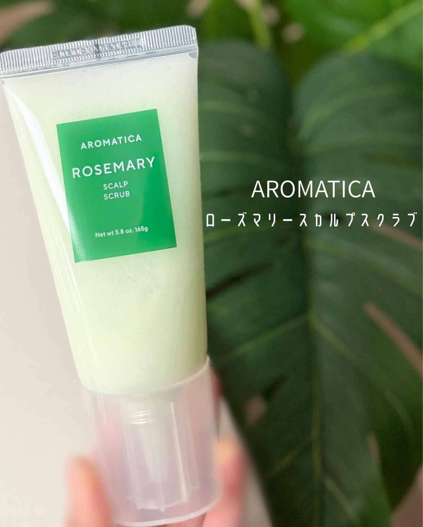 ローズマリー スカルプ スクラブ/AROMATICA/ヘッドスクラブを使ったクチコミ(1枚目)