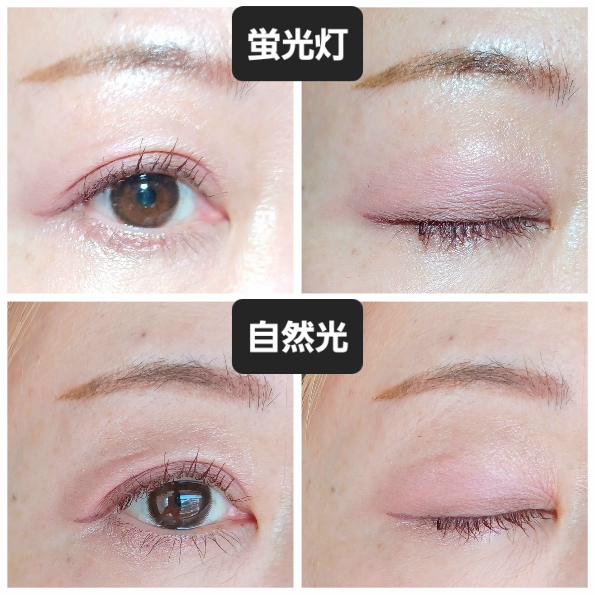 ソフトシアーマルチパレット/wakemake/アイシャドウパレットを使ったクチコミ（2枚目）