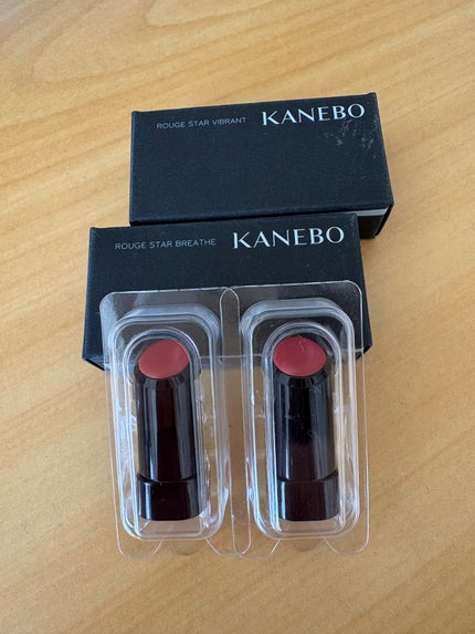 ルージュスターヴァイブラント/KANEBO/口紅を使ったクチコミ(1枚目)