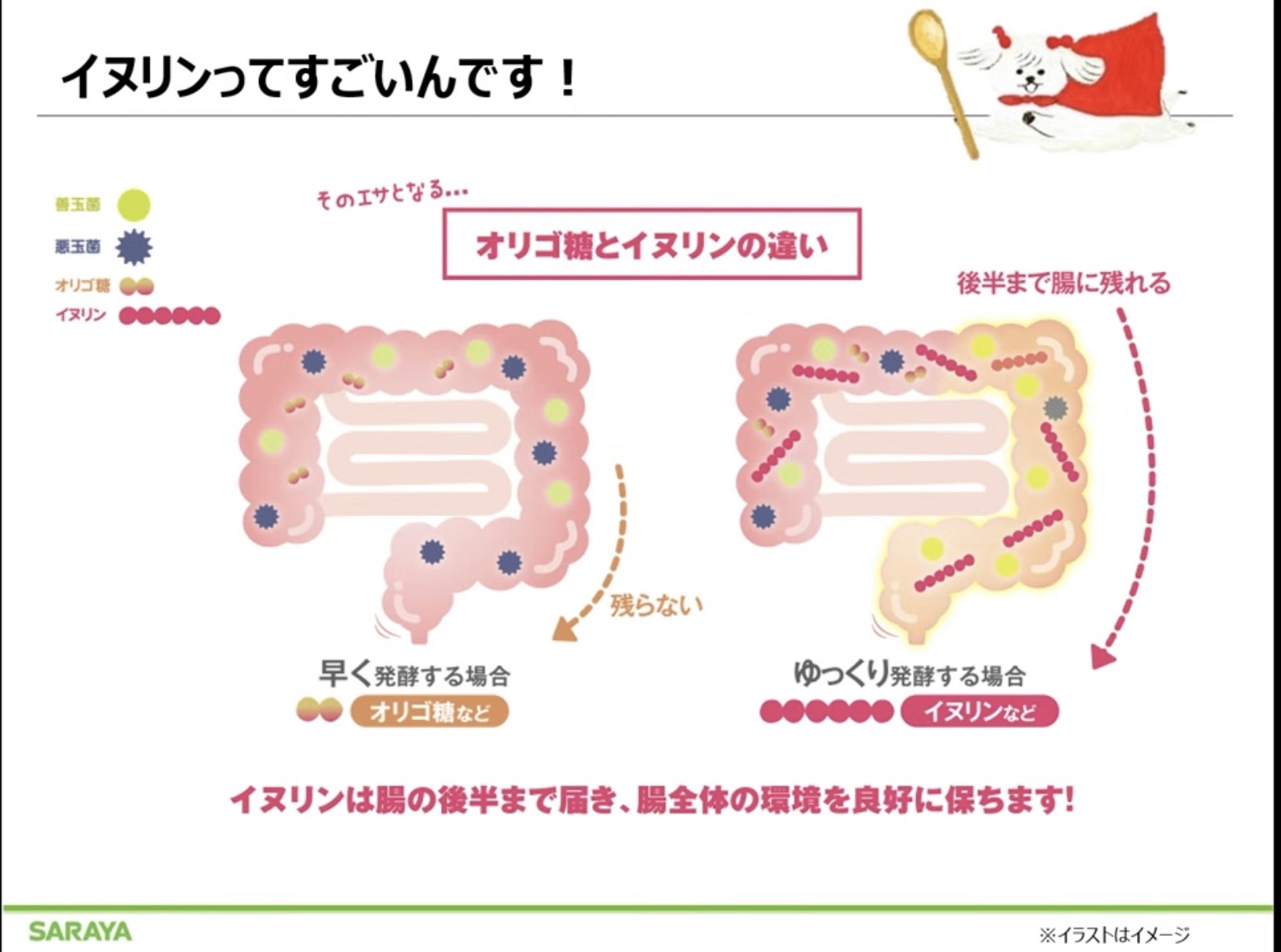 ラカント フローラビオ/ラカント/食品を使ったクチコミ（2枚目）