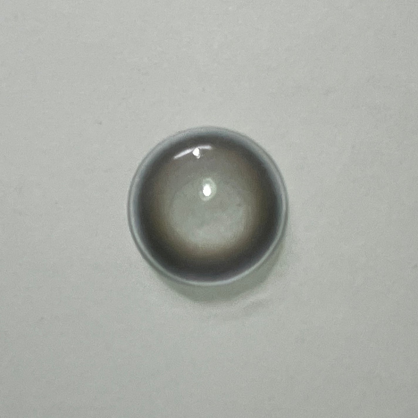 ReVIA 1day/ReVIA/ワンデー(1DAY)カラコンを使ったクチコミ(4枚目)