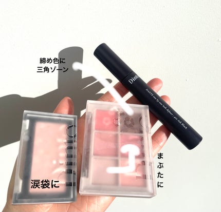 ブラーフィニシュシャドウパレット/Dinto/アイシャドウパレットを使ったクチコミ(3枚目)