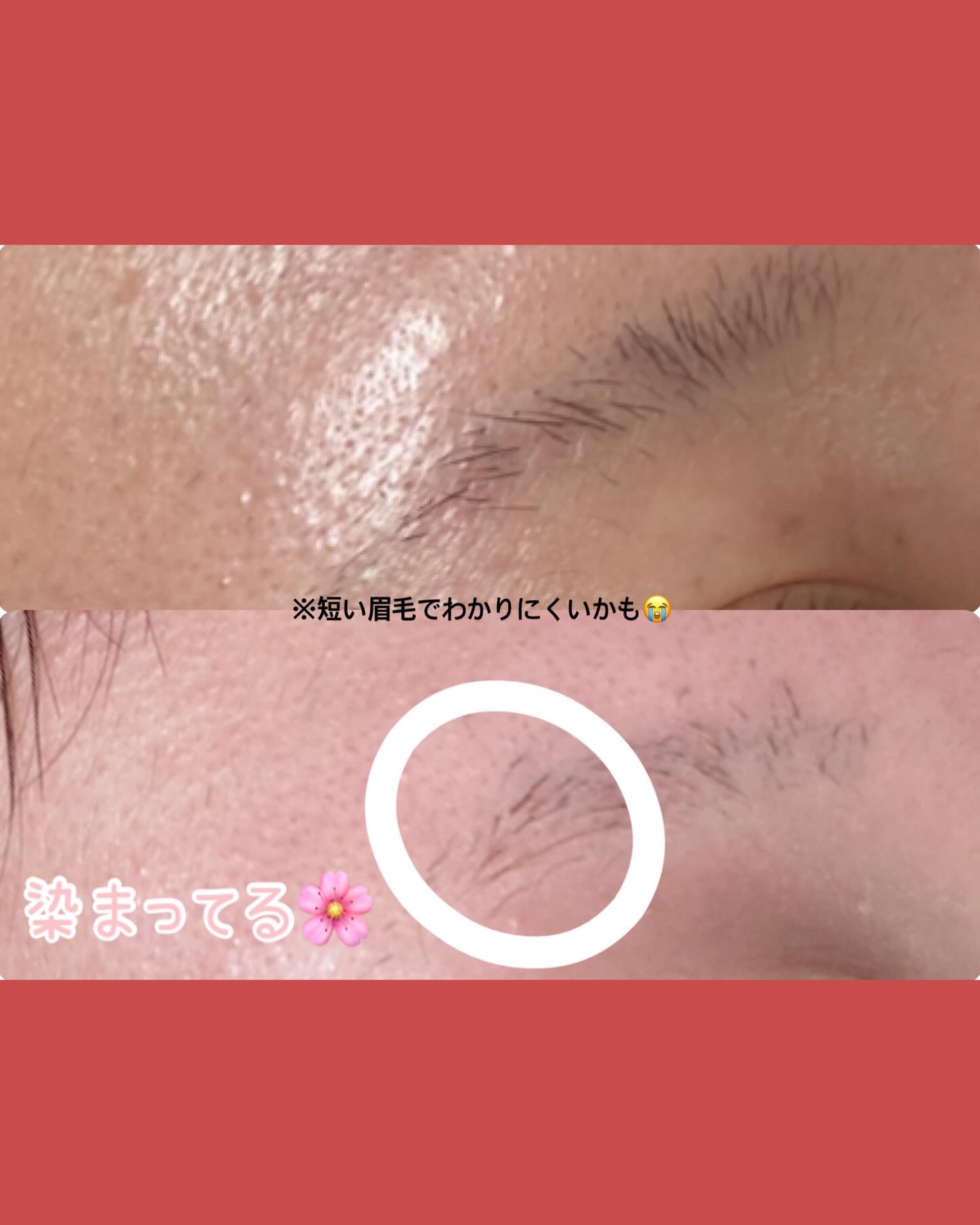 イージーブロウトーンチェンジャー/COSNORI/その他アイブロウを使ったクチコミ（2枚目）