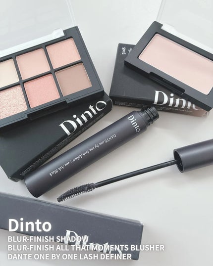 ブラーフィニシュシャドウパレット 706 ジョージ・エリオットコレクション/Dinto/アイシャドウパレットを使ったクチコミ(1枚目)