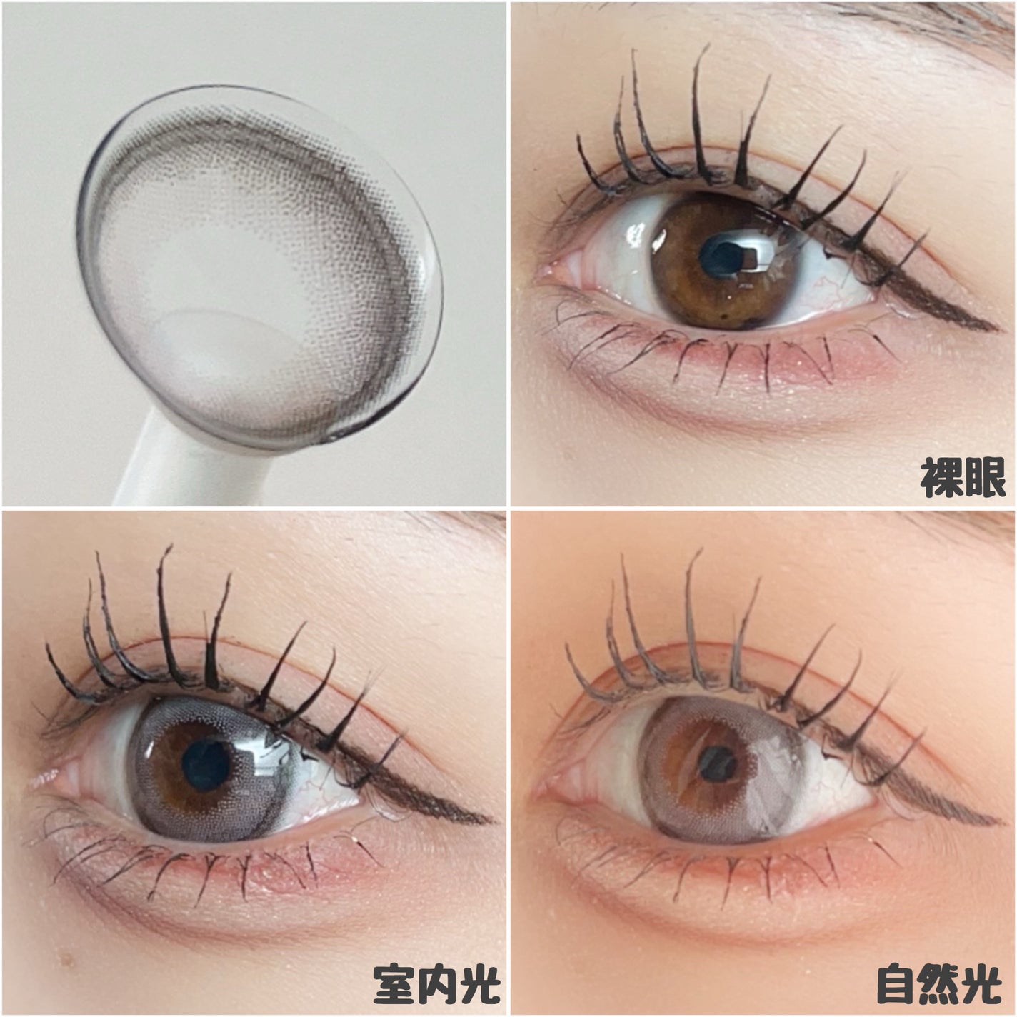 Angelcolor Bambi Series 1day /AngelColor/ワンデー(1DAY)カラコンを使ったクチコミ(4枚目)