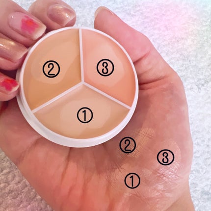 カバーアッププロコンシーラー/TFIT/パレットコンシーラーを使ったクチコミ(3枚目)