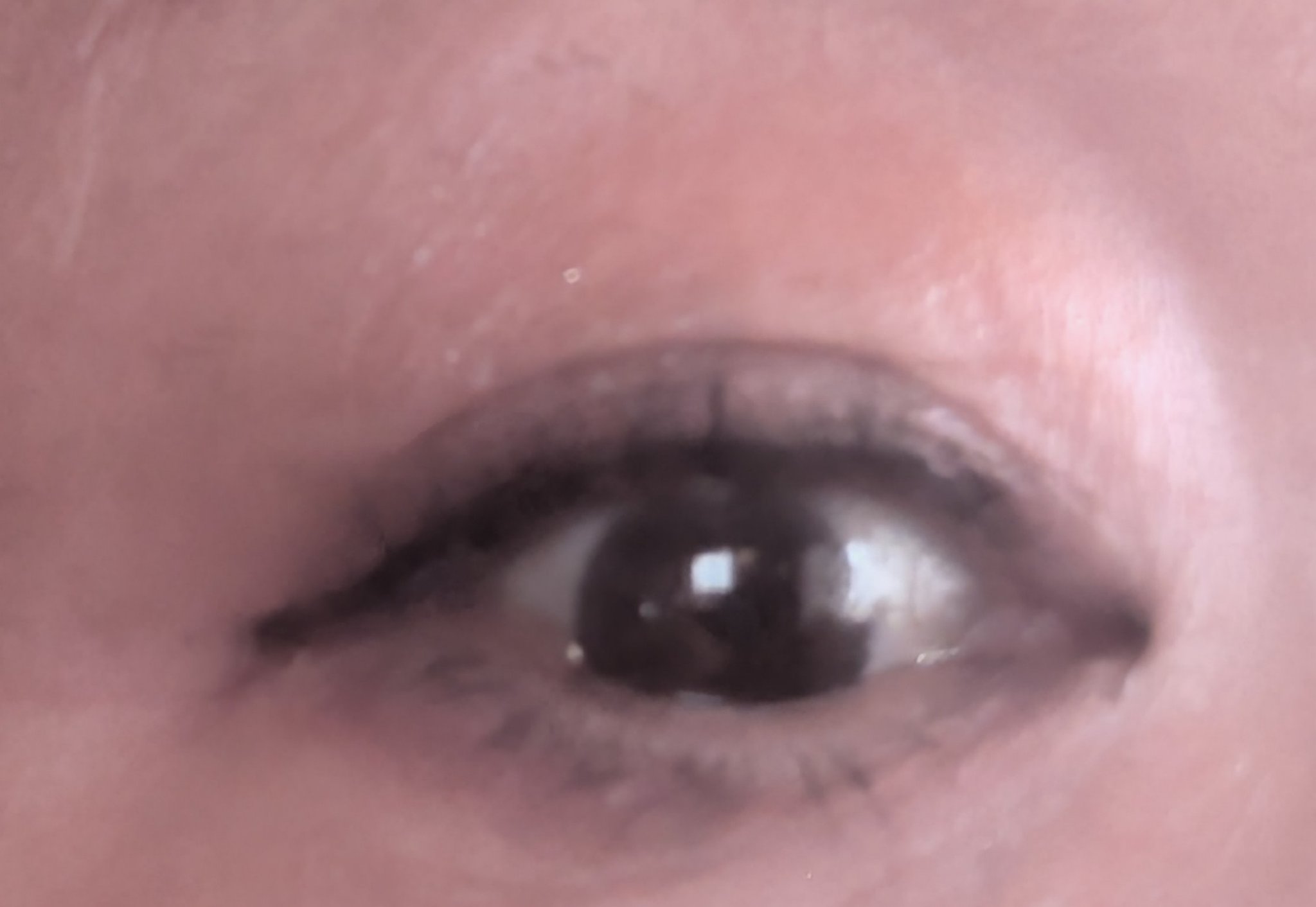 キスミー　フェルム　スタイリングアイパレット/キスミー フェルム/アイシャドウパレットを使ったクチコミ（2枚目）