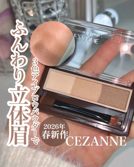 アイブロウ&シェードパウダー/CEZANNE/パウダーアイブロウを使ったクチコミ(1枚目)